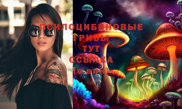 молекула духа Покровск