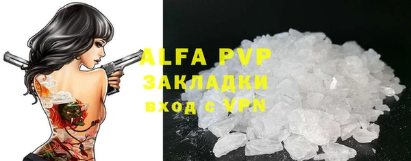 сатива Пересвет