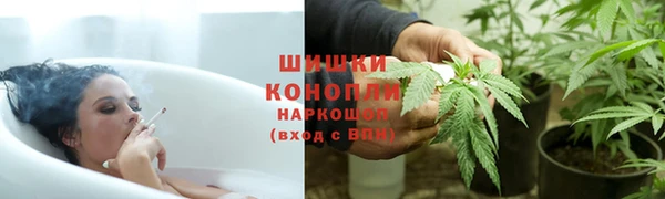шишки Покров
