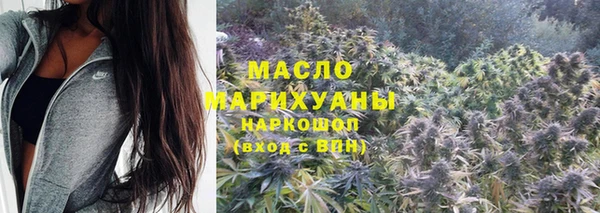 сатива Пересвет