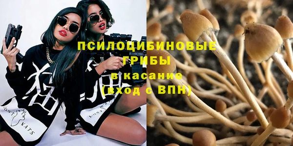 метадон Пестово