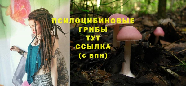 метадон Пестово