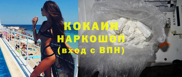 сатива Пересвет