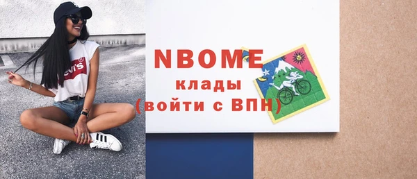 сатива Пересвет