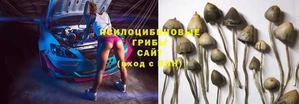 сатива Пересвет