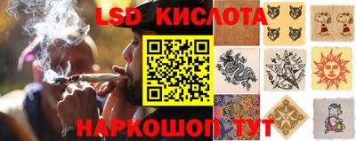 прущие грибы Нарткала