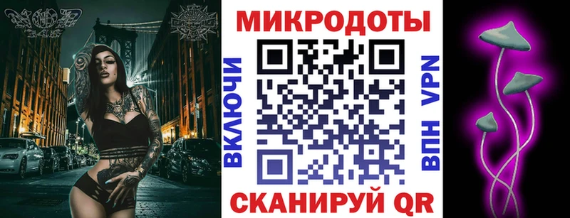 закладка Старая Русса Галлюциногенные грибы Cubensis