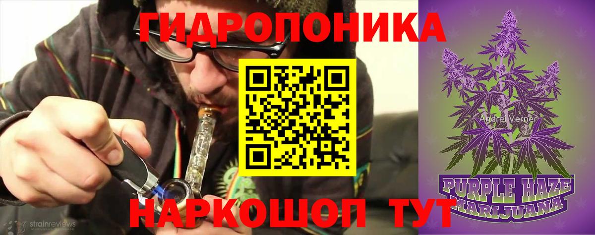 Бошки марихуана THC 21% Старая Русса